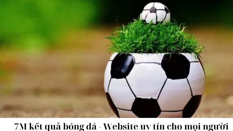 So sánh với các trang web khác