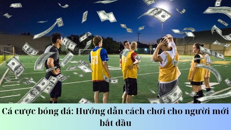 Các chiến lược cá cược bóng đá hiệu quả