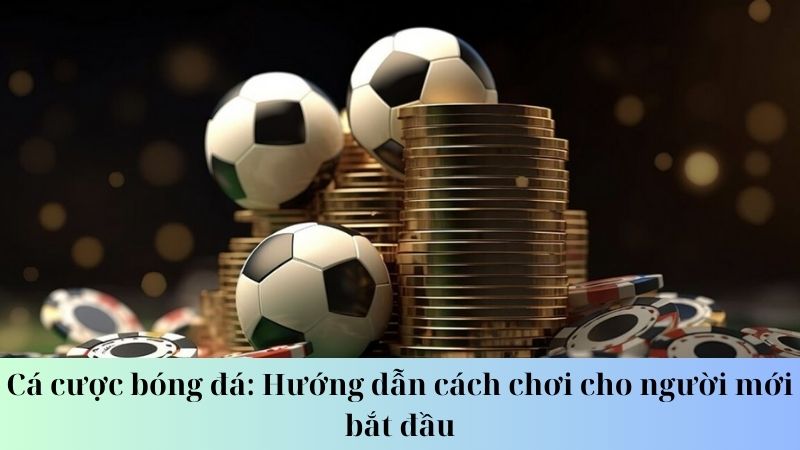 Lựa chọn loại cược phù hợp cùng chuyên gia tại SKY88