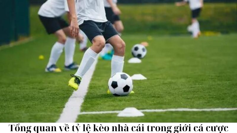 Lợi ích của việc hiểu tỷ lệ kèo nhà cái