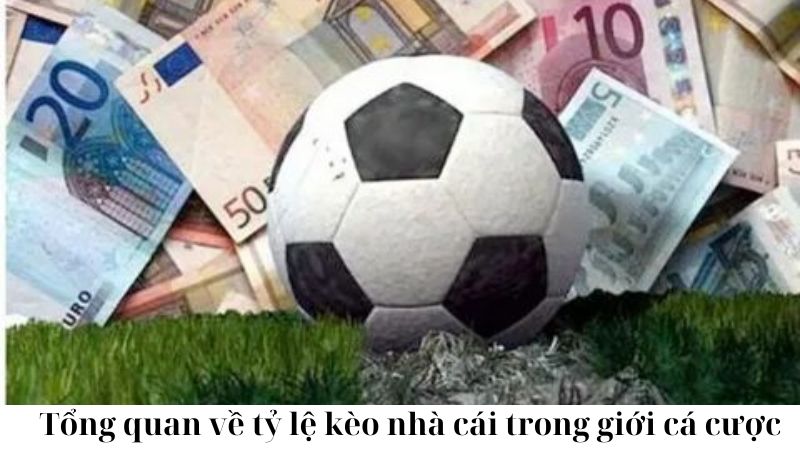 Cách đọc và phân tích tỷ lệ kèo nhà cái