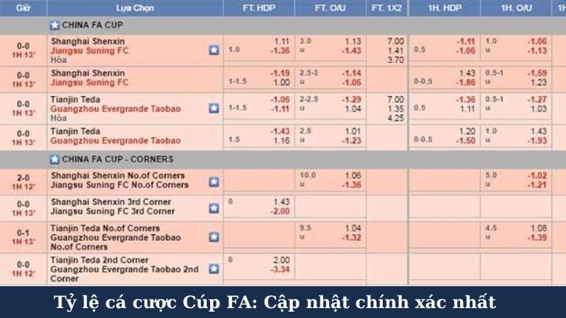 Các loại tỷ lệ cá cược Cúp FA phổ biến