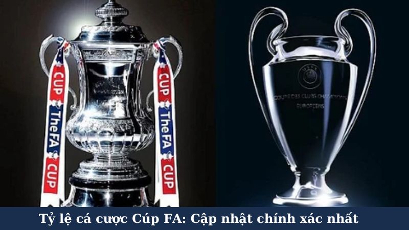 ty-le-ca-cuoc-cup-fa (3)