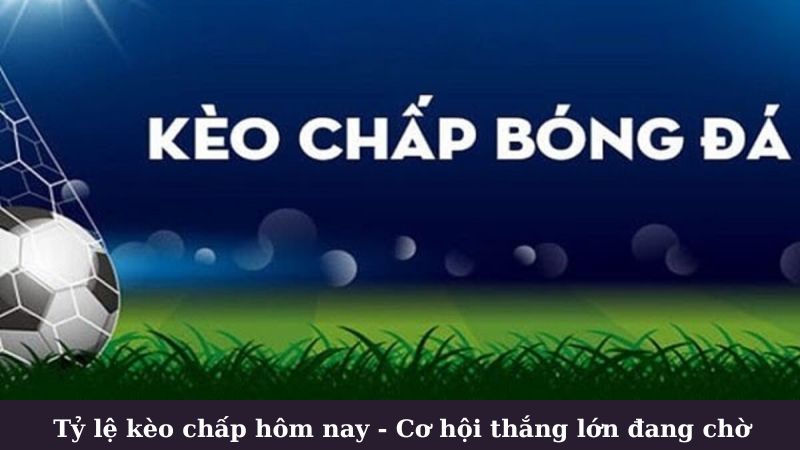 ty-le-keo-chap-hom-nay (1)