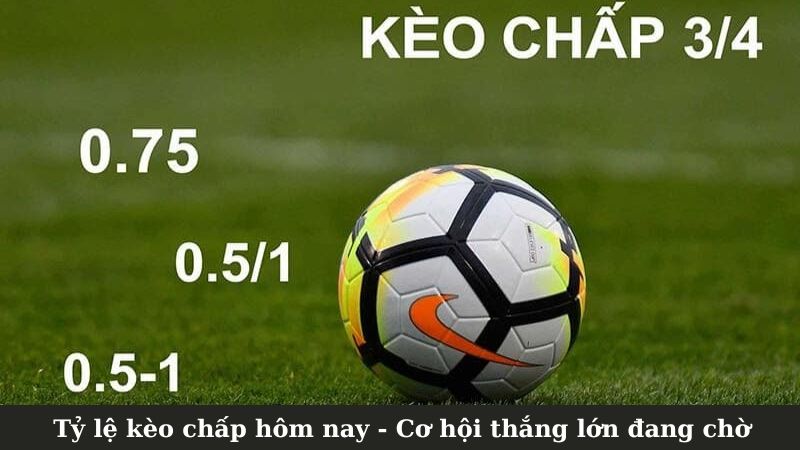 Phân tích tỷ lệ kèo chấp hôm nay