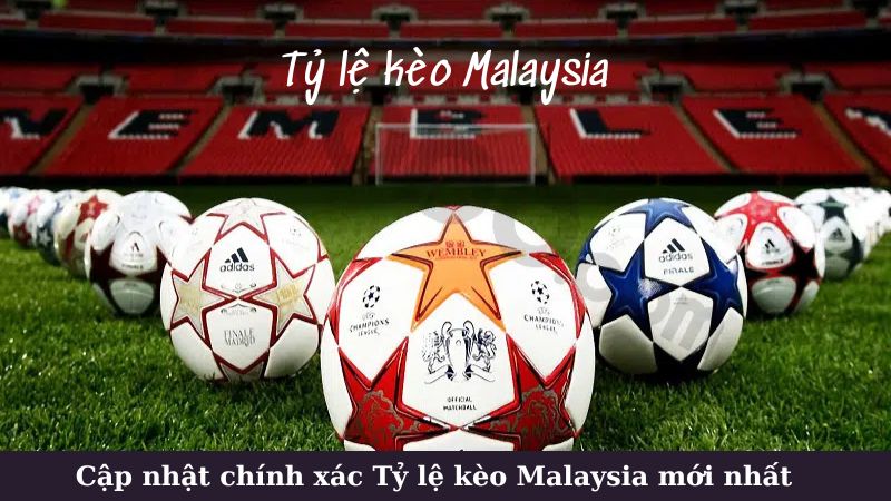 Hướng dẫn đọc và hiểu tỷ lệ kèo Malaysia mới nhất